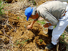 �X�ъ��Ӎ�