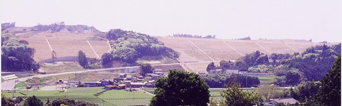 �É���`�{�̍H��